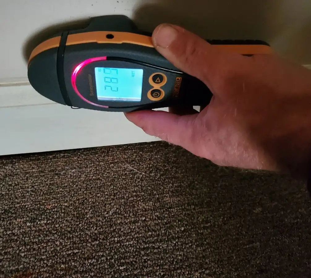 Moisture detection at baseboard during Mold Inspection & Testing in Bristol